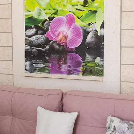 Marin Apartman *
